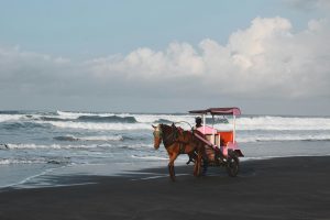 Pantai Parangtritis unsplash - Elang Wardhana